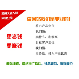公司网络营销外包服务-沧州天助人和-网络营销外包服务
