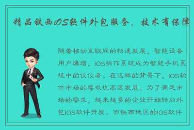 精品铁西iOS软件外包服务,技术有保障